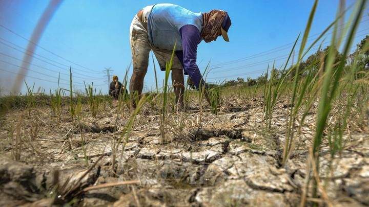 BMKG CATAT JULI 2026 JADI BULAN TERKERING DAN TERPANAS DI INDONESIA SEJAK 1991