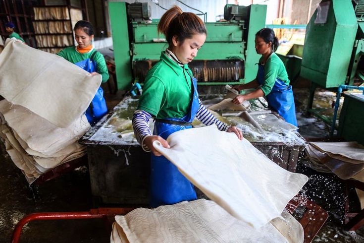 HAMPIR SEPARUH PEKERJA PEREMPUAN RI JADI TULANG PUNGGUNG KELUARGA, KONTRIBUSI EKONOMI MASIH TERSEMBUNYI