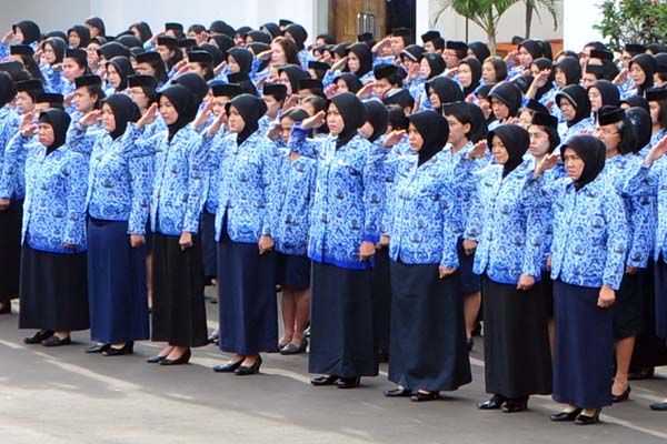 JUMLAH PNS TERENDAH DALAM 10 TAHUN, KOMPOSISI ASN BERUBAH TAJAM DENGAN LONJAKAN PPPK
